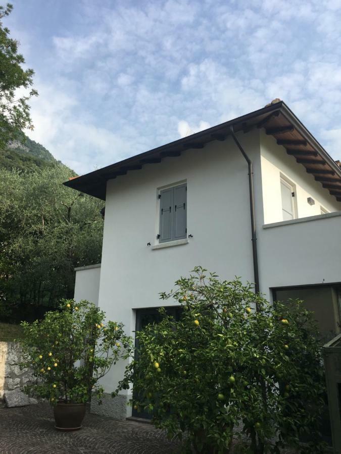 Millys Riva Apartments Kültér fotó